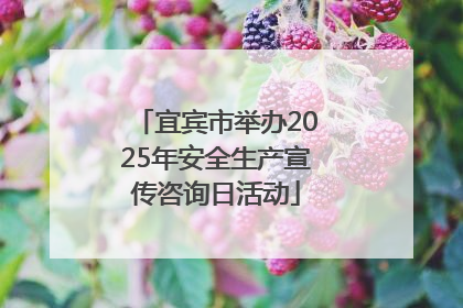 宜宾市举办2025年安全生产宣传咨询日活动